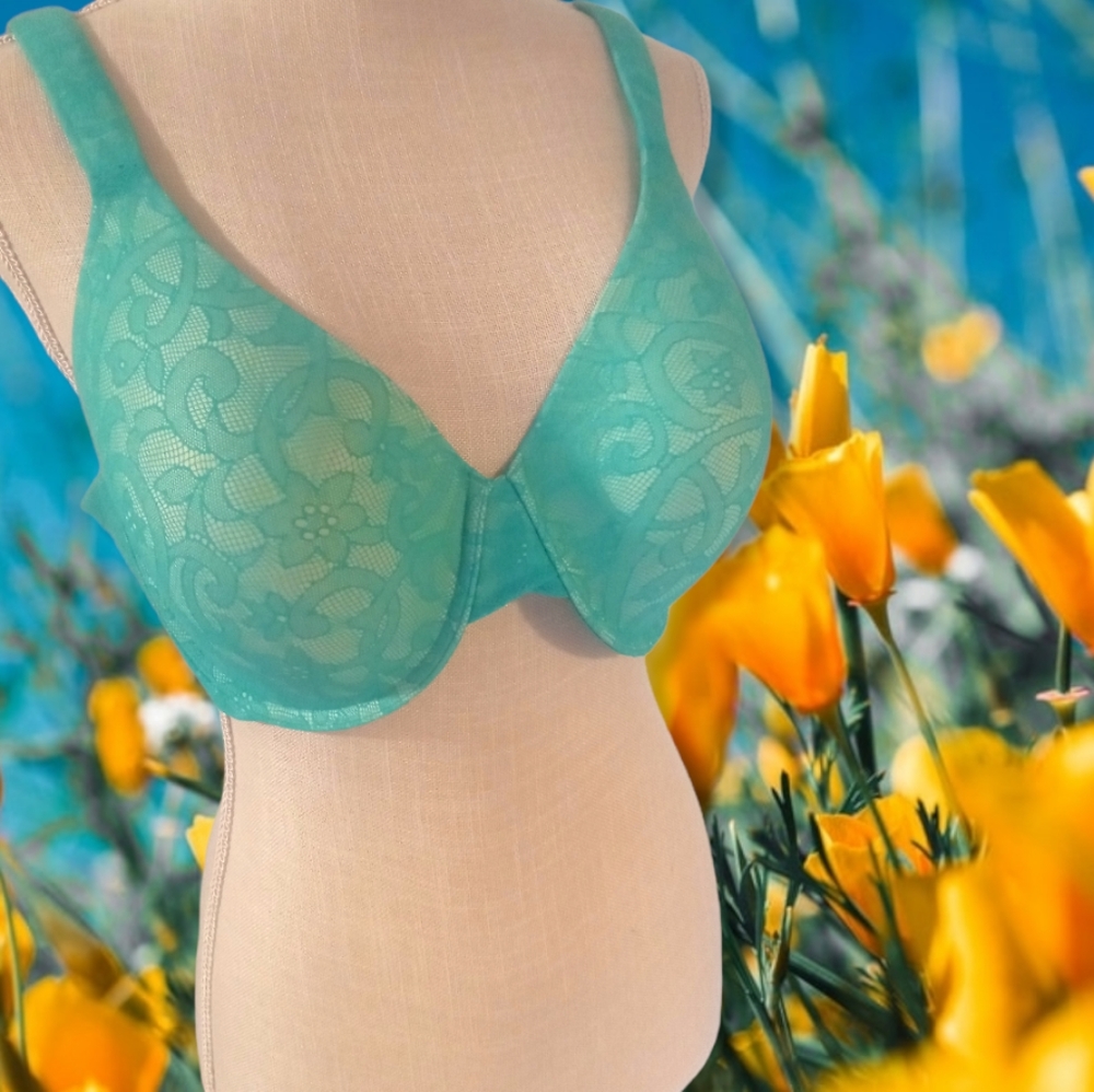 🌻Ambrielle Turquiose Lace Everyday Full Coverage T Shirt Bra Sz 40D NWOT